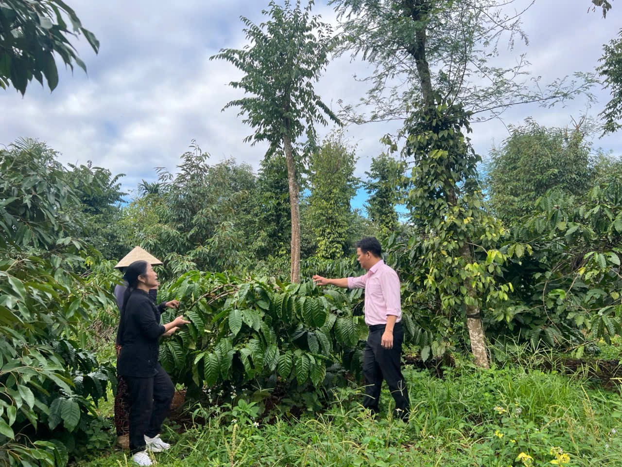 HIỆU QUẢ VỐN VAY TỪ NHCSXH TẠI XÃ QUẢNG PHÚ