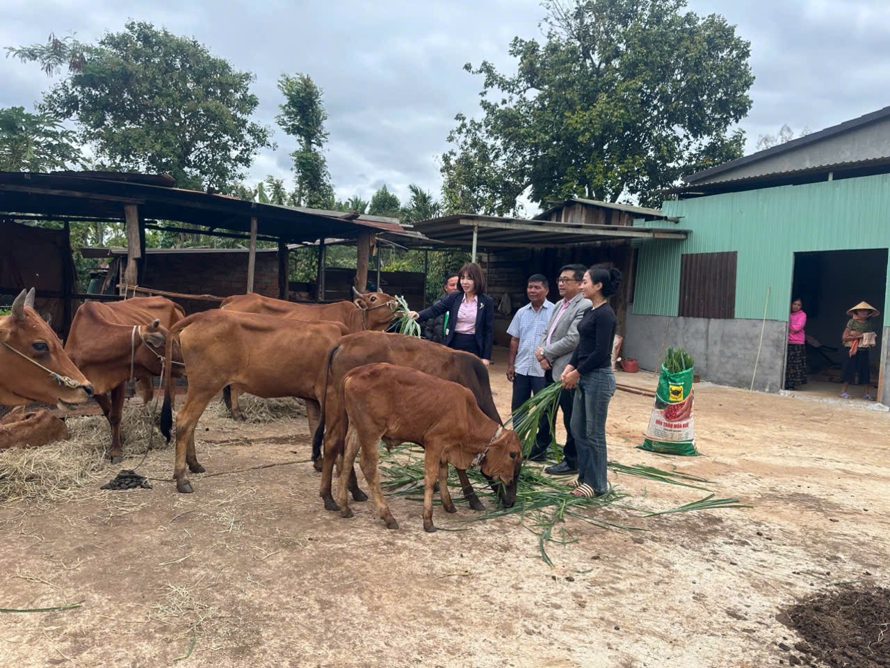PHÁT TRIỂN CHĂN NUÔI, TẠO VIỆC LÀM TỪ NGUỒN VỐN VAY TÍN DỤNG CHÍNH SÁCH