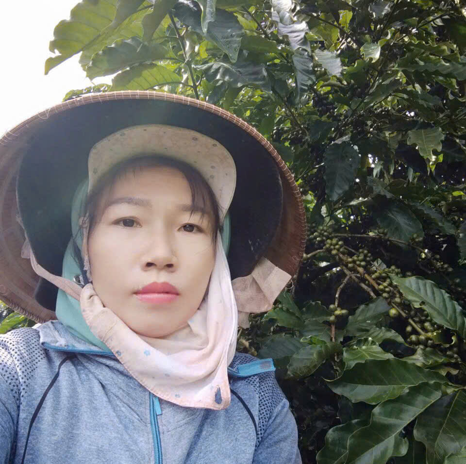 Hiệu quả từ nguồn vốn vay từ Ngân hàng Chính sách xã hội trên địa bàn thị trấn Quảng Phú