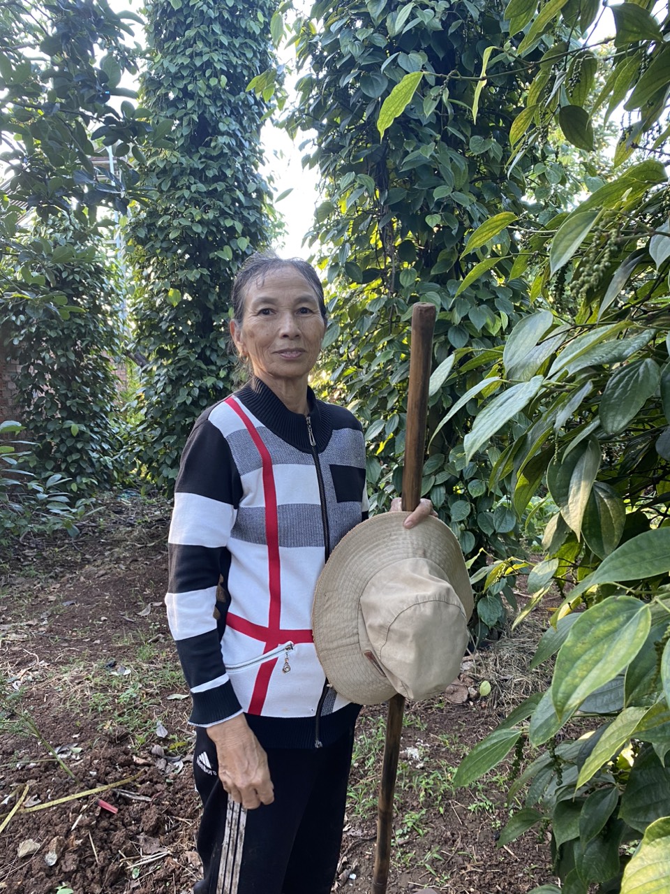 HỘI LHPN THỊ TRẤN QUẢNG PHÚ PHÁT HUY VAI TRÒ TỪ NGUỒN VỐN VAY NGÂN HÀNG CHÍNH SÁCH XÃ HỘI