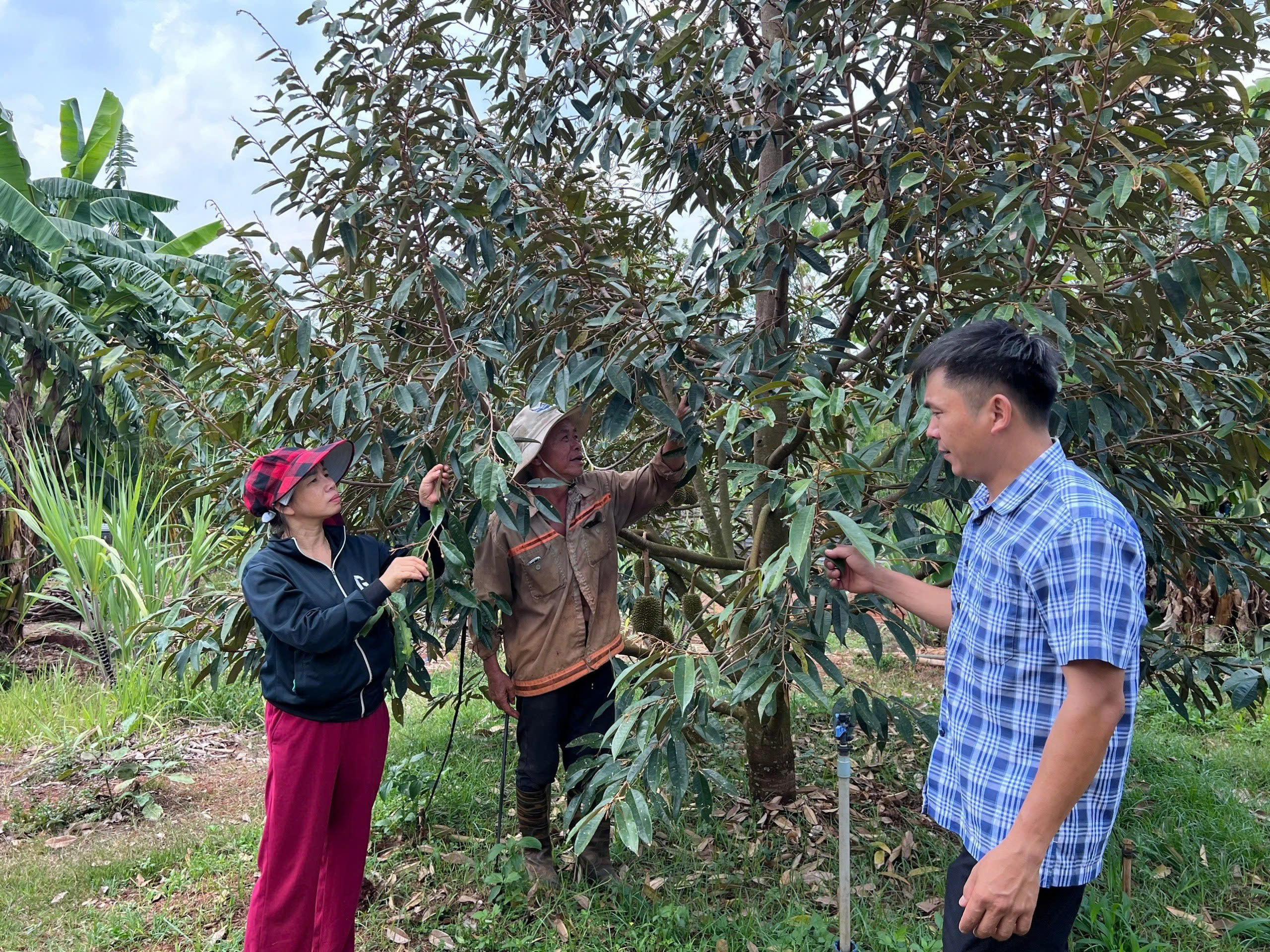 NHỮNG BÀI HỌC KINH NGHIỆM TRONG QUẢN LÝ UỶ THÁC TẠI HỘI NÔNG DÂN THỊ TRẤN QUẢNG PHÚ