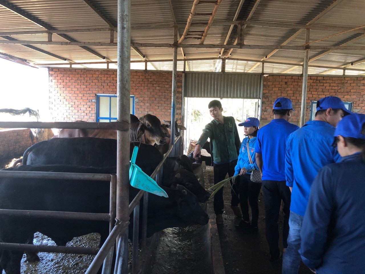 PHÁT HUY HIỆU QUẢ NGUỒN VỐN TỪ NGÂN HÀNG  CHÍNH SÁCH XÃ HỘI SAU SÁP NHẬP